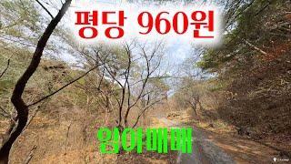 [1372][임야매매] 15,762평, 매가 1,500만원, 공시지가 보다 아주 싸게 내 놓은 임야라 투자매물로 추천 드립니다.