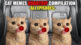 Cat MEMES Roadtrip Compilation Full 1 Hour