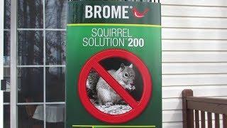 Brome "Squirrel Solution 200" Bird Feeder - Review & Demonstration