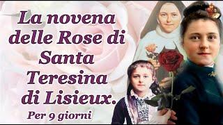 La novena delle Rose di Santa Teresina di Lisieux.