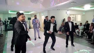 Ali Share Music / Wedding Surprise Dance | Hindi, English, Spanish, Persian, Afghan/