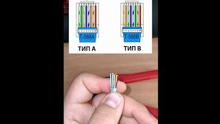#Shorts Патчкорд за 1 минуту:) (как сделать сетевой кабель)