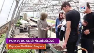 OMÜ Samsun Meslek Yüksekokulu, Park ve Bahçe Bitkileri Bölümü, Peyzaj ve Süs Bitkileri programı