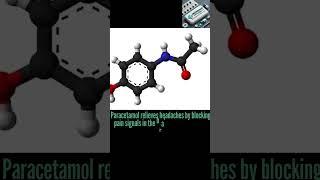 How Does Paracetamol Work for Headache? (Mechanism, Effectiveness & Dosage Explained)