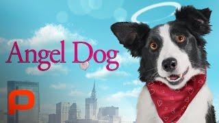 Angel Dog (Full Movie) Family l Drama