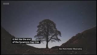 Sycamore Gap Robin Hood Tree Tree 1 Year On Hadrian's Wall Crag Lough PLEASE SUBSCRIBE Paris Ascot