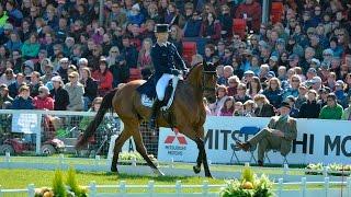 Michael Jung knocks last show jump to lose to Jock Paget in 2013