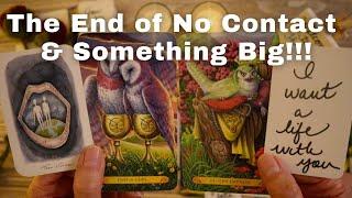 LOVE TAROT READING- THE END OF NO CONTACT AND SOMETHING BIG!!! 