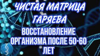 Чистая Матрица Гаряева. Восстановление организма после 50-60 лет