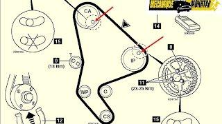 calage mise au point  peugeot, Citroën - كاتينة حزام محرك1.9@Mecanique Mokhtar Tunsie تعلم مع مختار