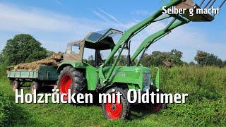 Käferfichten | Tipp Motorsäge Schwert | Fendt Farmer 3s