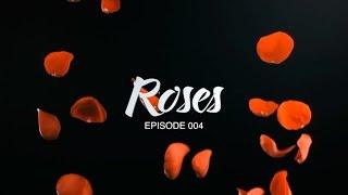 Roses (004): Anthony, Risse & The Lombardos