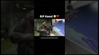 Rest Easy Kanzi The Bonobo 