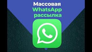 Рассылка в whatsapp  | Массовая рассылка вотсап | Программа для рассылки WhatsAppSender