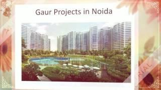 Budgeted Flats in Noida Extension   Gaur Homes