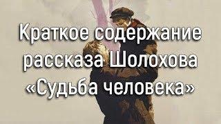 Шолохов судьба человека кратко 1ч.