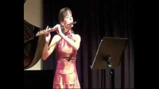 Gaetano Donizetti, Sonata for flute and piano