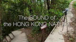 AK IN KK - Nature Field Recording HK Official Trailer 2019