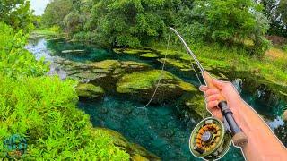 IS THIS THE BEST PLACE TO TROUT FISH?! || Fly Fishing for Brown, Brook, and Rainbow Trout