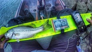 30 minutes of fishing the KBF NATIONAL CHAMPIONSHIP (POV)