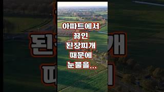 아파트에서 끓인 된장찌개 때문에 눈물을... #좋은글 #썰채널 #감동사연#사연채널 #인생 #지혜