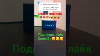 Алиса и китайский 3#shorts