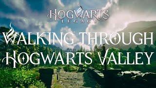 First-Person Walk Through Hogwarts Valley | Harry Potter 4K Music & Ambience | Hogwarts Legacy