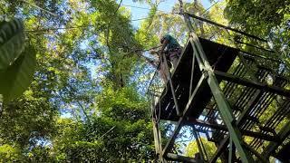 The Original Canopy Tour Monteverde #1 - Monteverde Cloud Forest - Saturday, March 6, 2021