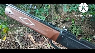 MIRA FIJA RIFLE DE AIRE DAISY 880 MALA PUNTERIA