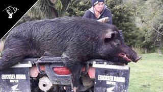 162Lb BOAR! Pig Hunting NZ Labour Weekend 2019