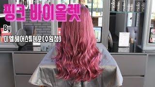 [프로 염색 레시피] 미엘 블론디앤 핑크 바이올렛 (Mielle Blondie Anne pink violet)