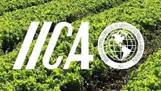 Capacitação para aplicação do Guia de Boas Práticas Agrícolas - IICA / EMBRAPA