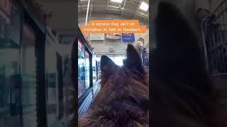 Service Dog at Lowe’s Did Boomer act like a Karen ?