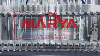 Pharmaceutical Ampoule Washing Sterilizing Filling Sealing Production Line Manufacturer&Supplier