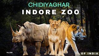 indore ka zoo  snake house  chidiya ghar indore white tiger  birds  animals 