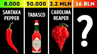 Comparison: Top Most Spicy Things Ever