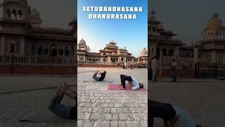 Counter Pose #shorts #shortsfeed #asana #yoga #jaipur #trending #viral #ytshorts