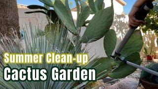 Summer Garden Tidy Up #cactusgarden