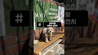 Doop 둡 - 오전에는 브런치 오후에는 와인바