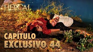 Hercai - Capítulo Exclusivo 44