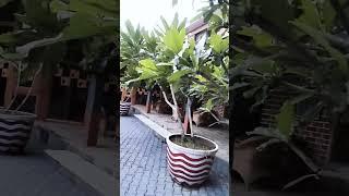 ২০ জুন, ২০২৫
