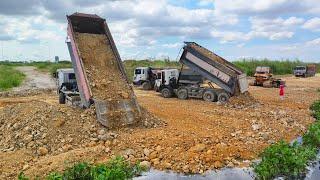 Great Perfectly Skill Dozer Komatsu D53 Bury Soil Filling The Deep Pond  Vs25ton Dumper