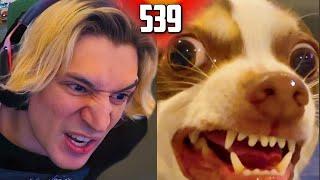 xQc Stream highlights #539