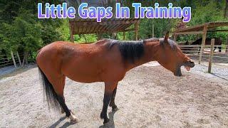 Little Gaps In Training For Mr. Wildie