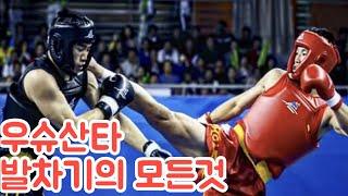 MMA 우슈 무에타이 발차기의 모든것 #무에타이 #mma #wushu #sandalwood