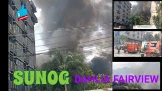 sunog dhalia st west Fairview Qc