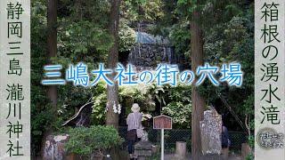 滝が涼しい穴場神社 A hidden shrine with a cool waterfall 花社花寺ときどき犬 .｡.:*:.｡. 瀧川神社 Takigawa Shrine 4K