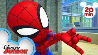 Top 5 Marvel’s Spidey and his Amazing Friends Moments  | Compilation | @disneyjr