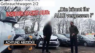 Autohändler WARNT vor seinen Kollegen  "NICHT KORREKT !" l 2/2 l Achtung Abzocke | Kabel Eins