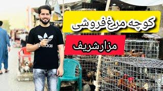 گزارش مصطفی سخا از کوچه مرغ فروشی مزارشریف و کوچه مندوی مزار . Mustafa sakha report from Mazar